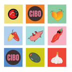 Build Your Own CIBO Box